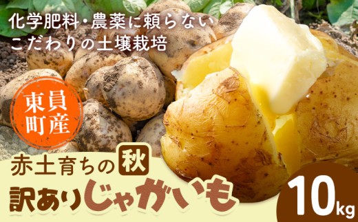 【秋じゃがいも】東員町産 赤土 育ち の 訳あり じゃがいも 約10kg《10月下旬-1月下旬頃出荷(土日祝除く)》三重県 東員町 ジャガイモ じゃが芋 芋 送料無料 秋じゃが