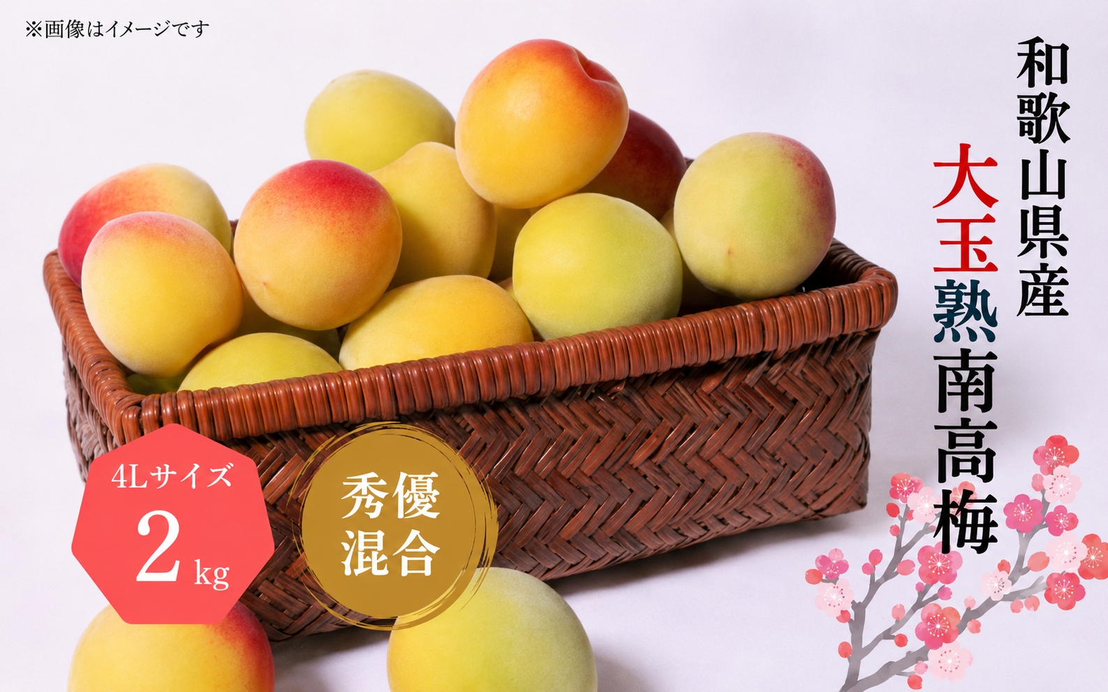 【梅干・梅酒用】大玉4Lサイズ約2kg 熟南高梅 秀優混合 / 梅 フルーツ 梅酒 生梅 南高梅 完熟 うめ 梅干し 生梅 ウメ 和歌山  南高梅 ※2027年6月上旬～7月上旬頃発送予定 ※沖縄・離島への配送不可 【art023A】