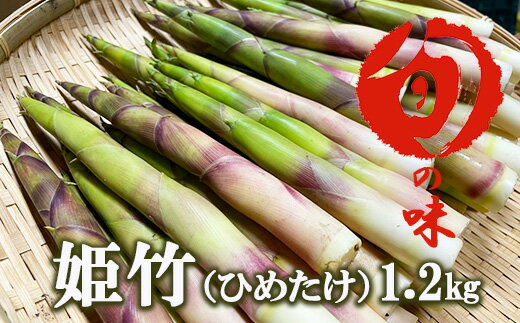【ふるさと納税】 根曲がりたけ 1.2kg 1.2キロ / おすすめ 野菜 春 春野菜 山菜 姫竹 ヒメタケ ひめたけ 根曲がり竹 産直 旬 料理 天ぷら 天麩羅 天婦羅 素焼き 炊き込みご飯 味噌汁 煮物 グリル 天然 春の味覚 仕送り 国産 岩手県 雫石町 産地直送 送料無料 産直松の実