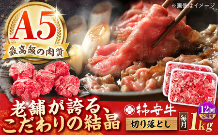 【12回定期便】最高級A5等級 黒毛和牛 柿安牛 切り落とし 1kg 亀山市/柿安本店[AMBW037]
