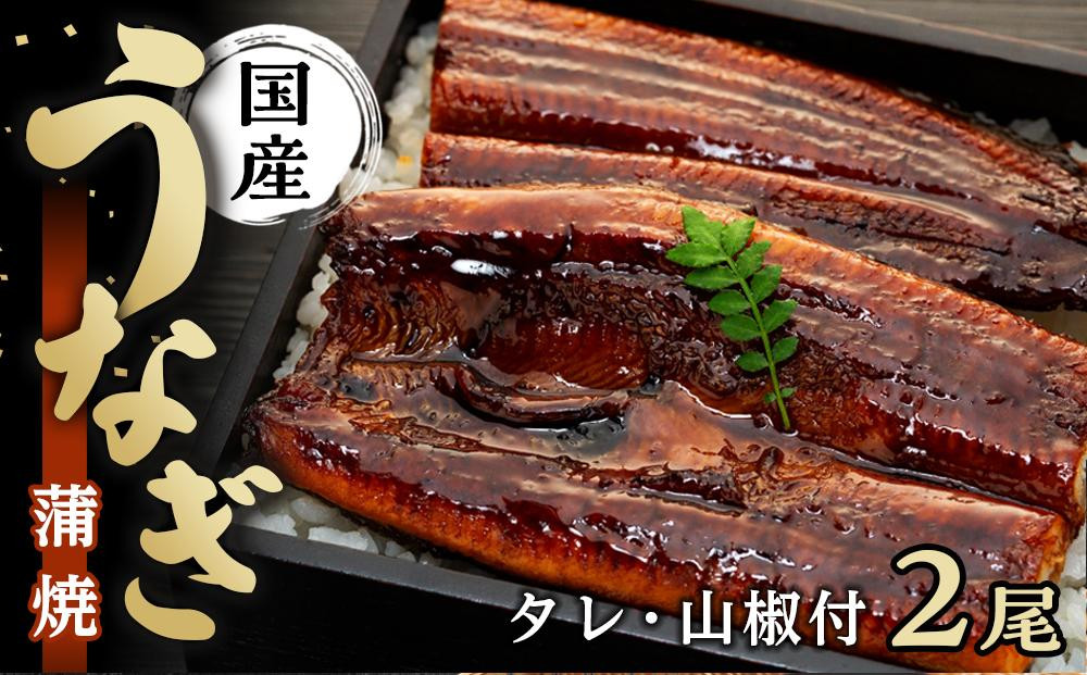 
国内産うなぎ蒲焼2尾（タレ・山椒付き）合計250g以上
