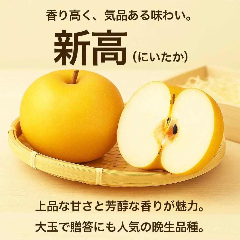 先行予約 新高梨 約3㎏ (4～12玉)【2026年9月上旬～2026年10月上旬発送予定】