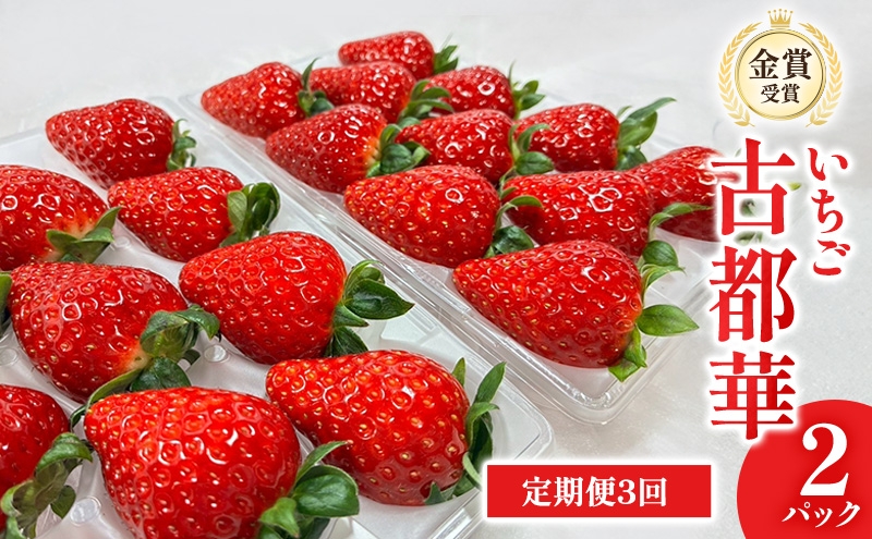 
                  【先行予約】いちご 定期便 3回　古都華　2パック 金賞受賞 フルーツ 果物 旬 産地直送 デザート ことか イチゴ 苺 冷蔵 奈良 大和郡山　北村農園 [№5990-1016]
                