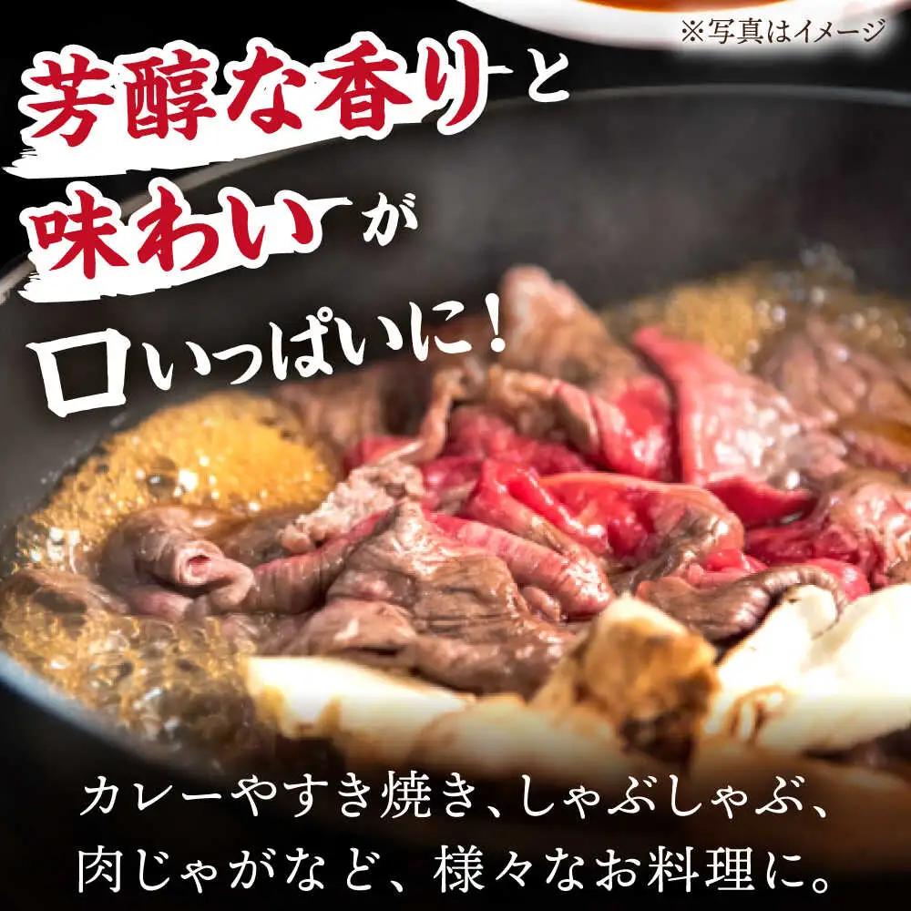  【12回定期便】【飛騨牛】切り落とし 総計6kg 〈1回あたり〉500g (250g×2) [TDC012] 切り落とし