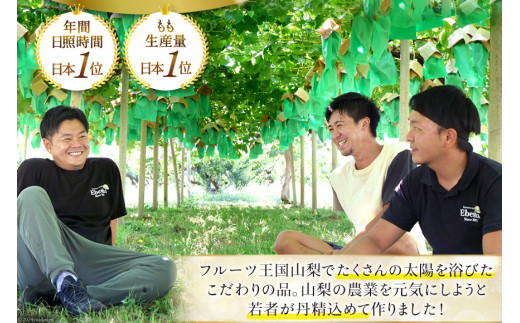 山梨県産 桃 約 3kg