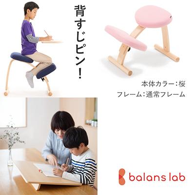 ふるさと納税 美濃市 バランスイージー 通常[桜]+イージーライティングボードM【複数個口で配送】