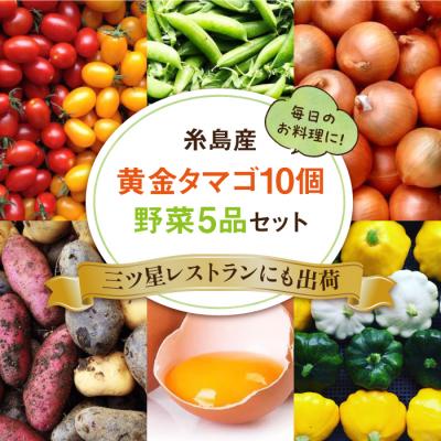 ふるさと納税 糸島市 糸島の朝産み黄金タマゴ10個 朝どれ新鮮野菜5品セット オーガニックナガミツファーム[AGE046] |  | 01