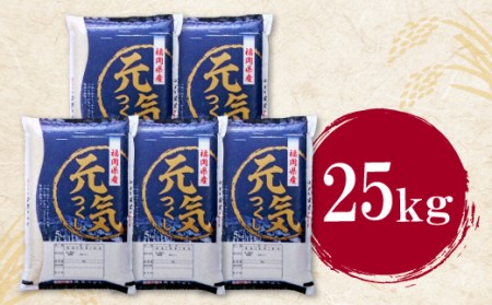 M17-28-01 研ぐお米 元気つくし25kg 【FJS】 【fukuchi00】