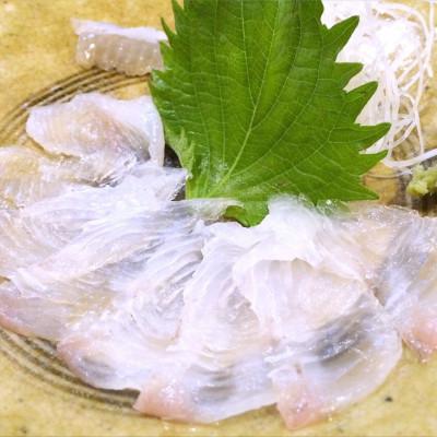 ふるさと納税 壱岐市 【毎月定期便】地下海水育ち「ヒラメフィレ」(冷凍発送)全2回 |  | 01