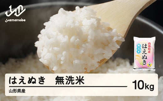 ＜先行予約＞新米 はえぬき 無洗米 10kg 令和8年産 2026年産 山形県産 10月上旬〜10月中旬頃に順次発送 tf-hamxb10-10f