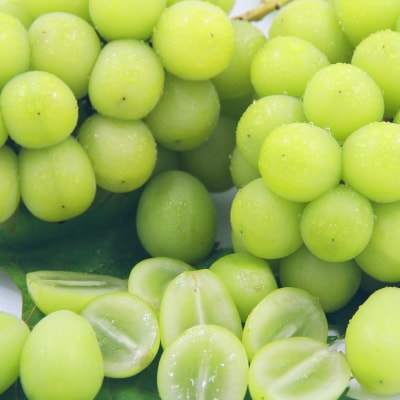 シャインマスカット 約1kg 厳選!農家直送 シャインマスカット (2～3房)【配送不可地域：離島】