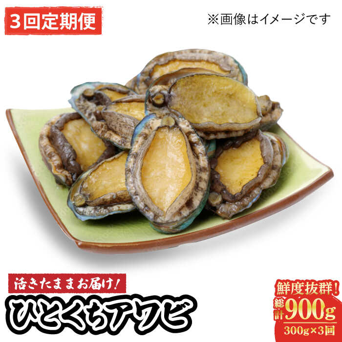 【ふるさと納税】【全3回定期便】【活きたままお届け！】 上五島産 養殖 ひとくち アワビ 厳選 300g【豊建設株式会社】 [RAE015]