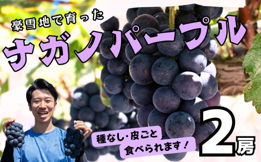 【先行予約】<令和7年産>飯山市産 ナガノパープル2房（約900g以上）(7-A31)