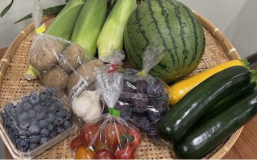 
            1112 長野県山形村産「夏のおいしい野菜・くだもの」セット
          
