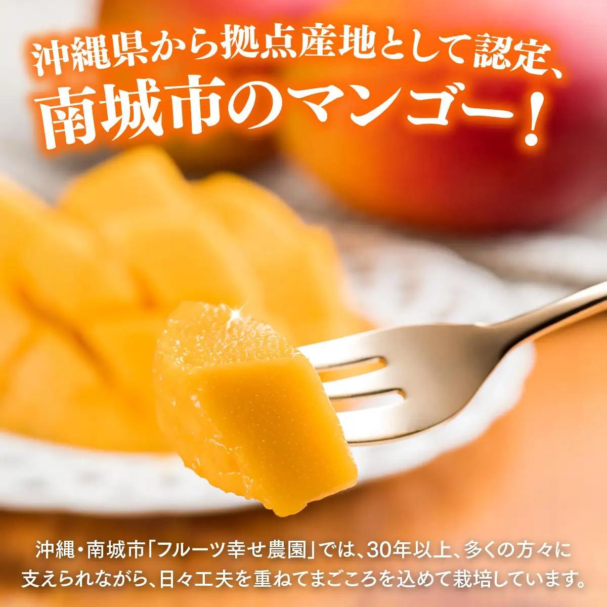 ＜先行予約・数量限定＞【2027年7月上旬～お届け】フルーツ幸せ農園のアップルマンゴー2kg【家庭用】SN001   I  アップルマンゴー 2kg 家庭用 先行予約 旬 フルーツ 果物   沖縄県 
