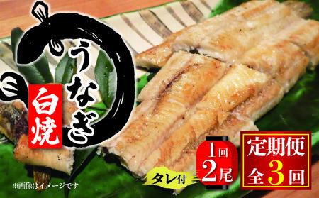 【3ヶ月定期便】 国産 うなぎの白焼 約150g×2尾 タレ付  ( うなぎ タレ付 冷 丑の日 白焼き 白焼き 白焼き 白焼き 白焼き 白焼き 白焼き 白焼き 白焼き 白焼き 白焼き 白焼き 白焼き 白焼き 白焼き 白焼き 白焼き 白焼き 白焼き 白焼き 白焼き 白焼き 白焼き 白焼き 白焼き 白焼き 白焼き 白焼き 白焼き 白焼き 白焼き 白焼き 白焼き 白焼き 白焼き 白焼き 白焼き 白焼き 白焼き 白焼き 白焼き 白焼き 白焼き 白焼き 白焼き 白焼き 白焼き 白焼き 白焼き 白焼き 白焼き 白焼き