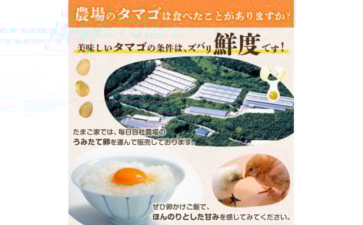 PF-1 たまご家のハーブ卵（笑顔）30個 3ヵ月定期便