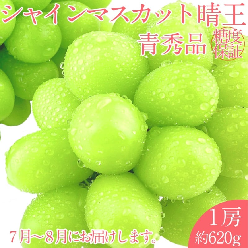 
            【2025年 予約受付中】 シャインマスカット 晴王 1房約620g 7月～8月出荷/ 岡山県産 種無し 皮ごと食べる みずみずしい フレッシュ 晴れの国 おかやま 果物大国 彩美菜果 [№5735-2105]
          