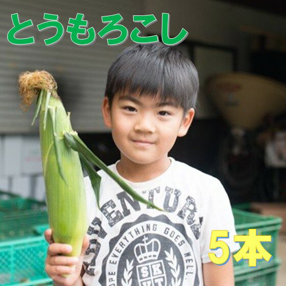 【ふるさと納税】☆ 予約受付 ☆2025年度【 メロン と同等の 糖度 14度以上】高橋さんのとうもろこし 5本 とうもろこし とうきみ もろこし 岩手 北上 新鮮 糖度 14度 〜 予約 受付中 スイートコーン ヤングコーン 高橋 光