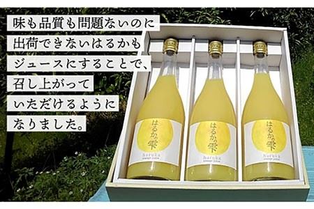 【ギフト可】【糖度15度前後】はるかの雫（720ml×3本）長与町/岩永農園 [EAZ002]