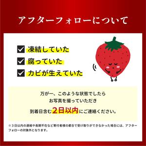 いちご 「やよいひめ」と「おすすめのいちご」 320ｇ×3トレー