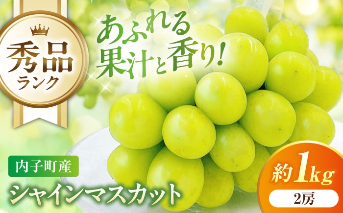 
                  【先行予約】シャインマスカット 秀品 2房 約1kg ＜2026年8月下旬～発送開始＞ ／ シャインマスカット 大人気 愛媛県 美味しい 人気 皮ごと 葡萄 ブドウ 愛媛県産 内子町産 新鮮 旬 フルーツ 果物 くだもの【株式会社フジ・アグリフーズ】 [BKAY003]
                