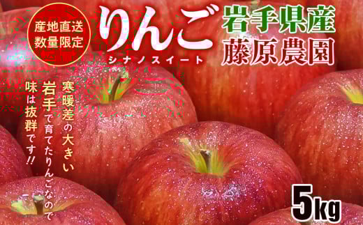 先行予約《2025年10月中旬～発送》藤原農園のりんご『シナノスイート』5kg 14玉～20玉 果物類 美味しい 産地直送 大人気 果汁 果肉 トップランク 食感 絶品 甘い