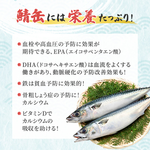 サバ缶 食べ比べセット 24缶 若狭の鯖缶 3種 サバ缶