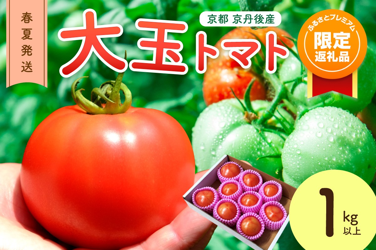【ふるプレ限定品】【特別寄附額】【先行予約】京丹後産 大玉トマト 1kg以上 春夏発送（2026年5月中旬～発送）　MY00013P