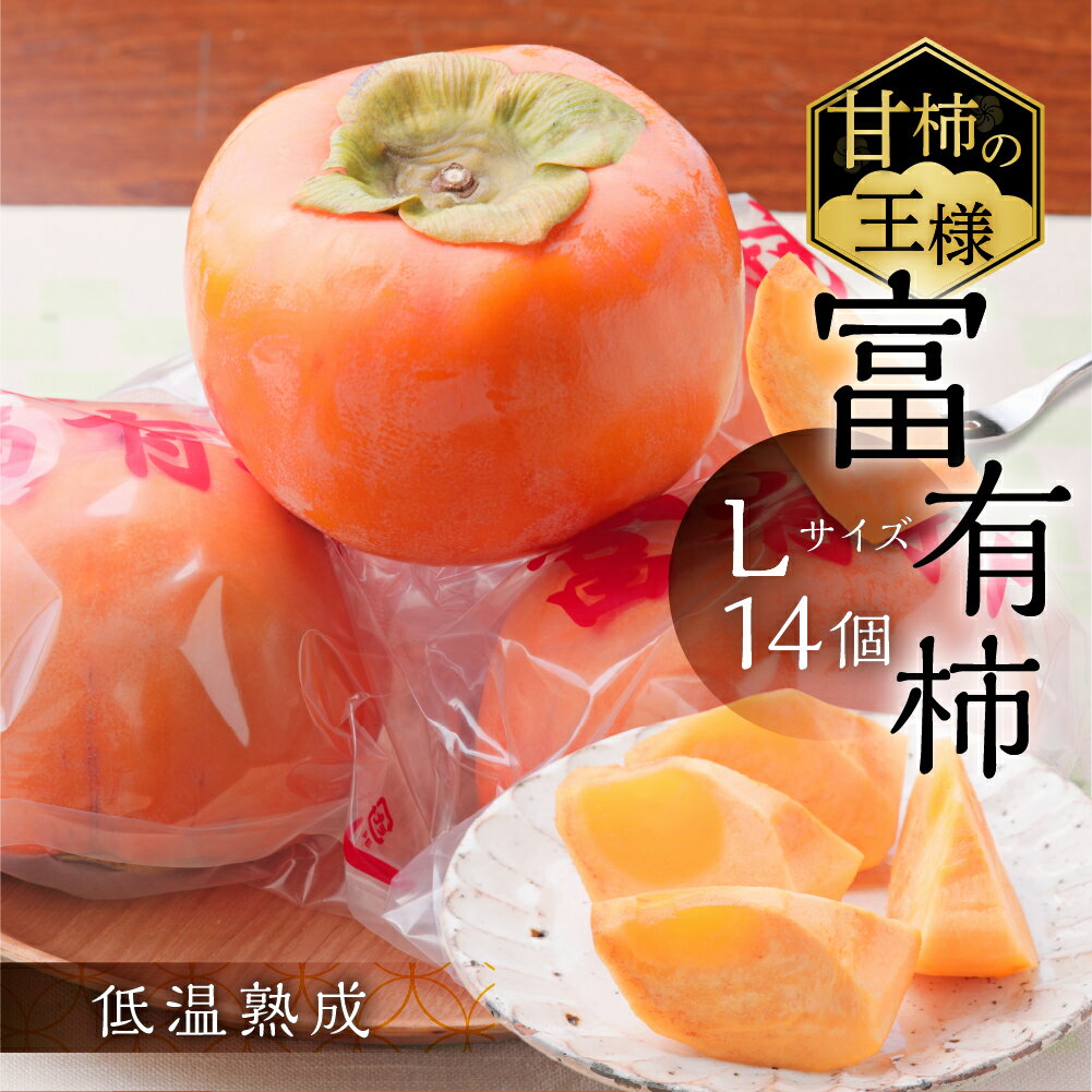 【ふるさと納税】[先行予約]《柿の王様》加藤果樹園のフレッシュパック富有柿Lサイズ14個入り 低温熟成 12月上旬発送予定 [mt023_26]｜かき 富有柿 ふゆうがき フルーツ カキ 果物 くだもの 産地直送 岐阜県 本巣市