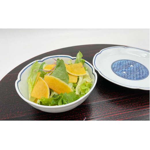 有田焼 波千鳥紋セット (中皿1個・中鉢1個) 鷹巣瑞光堂 A15-224_イメージ3