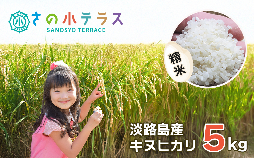 
                  令和７年度 淡路島産キヌヒカリ 5kg （精米）
                