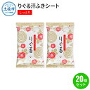 【ふるさと納税】りぐる汗ふきシート しっとり 20個セット 1個15枚入り お茶の香り メンズ レディース 汗拭きシート ヒアルロン酸配合 保湿 さっぱり 爽やか メッシュシート 夏 スポーツ 常温 配送 ふるさとのうぜい 故郷納税 高知県 高知 土佐市 返礼品