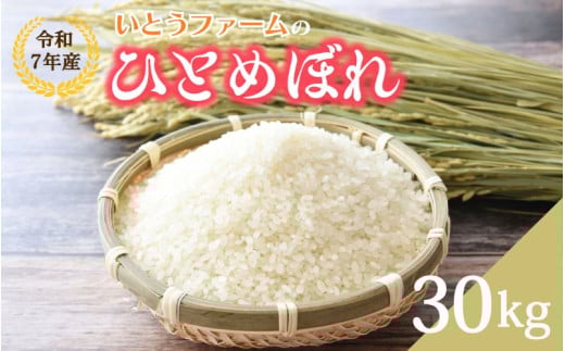 いとうファームの令和7年産「ひとめぼれ」30kg（30kg×1袋）玄米 ※2025年11月より順次発送予定