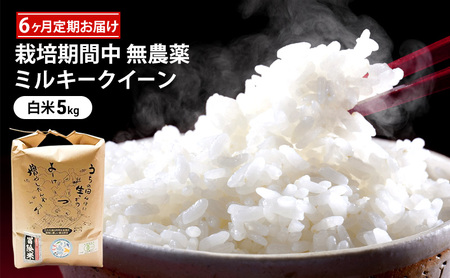 米 定期便 6ヶ月 栽培期間中 無農薬 ミルキークイーン 5kg 米