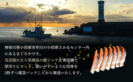 【中辛】【毎月10ヶ月 定期便】厚切り銀鮭 半身1枚 約10枚切【鮭 塩鮭 サケ 焼き魚 魚 おつまみ 惣菜 海鮮 珍味 お取り寄せ 御中元 お中元 お歳暮 父の日 母の日 贈り物 日本酒 焼酎】