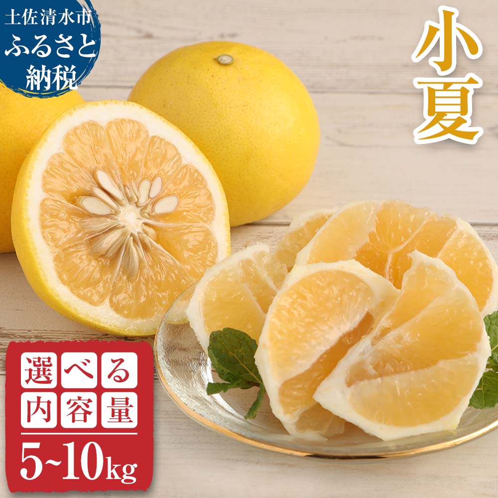 【ふるさと納税】R8発送 先行予約 オレンジ園の小夏5kg 10kg 日向夏 みかん 柑橘 フルーツ 果物 こなつ ニューサマーオレンジ 旬 5キロ 10キロ 美味しい 食感 スッキリ ギフト お取り寄せ 常温 国産 送料無料 高知県 土佐清水市 故郷納税 返礼品 高知 【R01448】