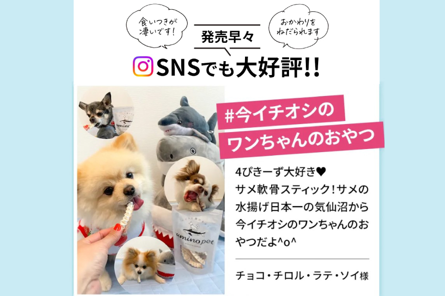 UMINO PET サメ軟骨スティック 40g×5個 [石渡商店 宮城県 気仙沼市 20563958] ペットフード ドッグフード 犬 いぬ 犬用 ペット おやつ オヤツ 国産 気仙沼産 サメ 鮫 軟