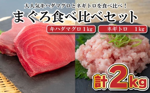 まぐろ 食べ比べ ( 赤身 ネギトロ ) 小分け 真空パック 冷凍 マグロ 鮪 マグロのたたき セット 刺身 刺し身 ネギトロ丼 海鮮丼 ご飯のお供 おかず 惣菜 手軽 便利 ふるさと納税 人気 ふるさと納税まぐろ ふるさと納税鮪 TY030