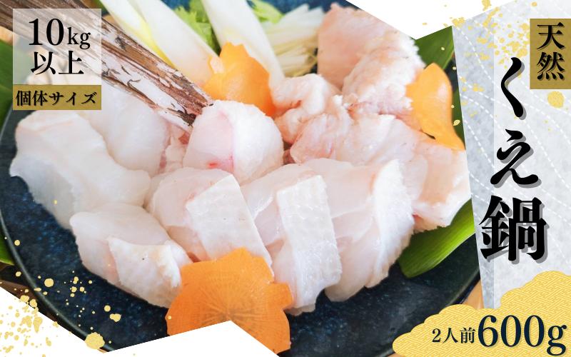 
                  幻の高級魚 くえ 天然クエ鍋セット 2人前600g 【個体10kg以上】【1ヶ月以内に順次発送】 / クエ クエ鍋 天然 魚 魚貝 海鮮　【tcr012A-cho】
                