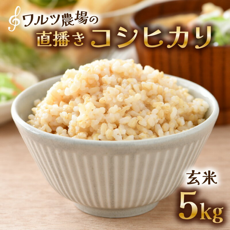 【ふるさと納税】【先行予約】【令和8年産 新米】ワルツ農場の直播き コシヒカリ 玄米 5kg / お米 ご飯 つや 艶 甘味 旨み あわら市産 福井県産 慣行栽培 コメ 北陸 福井県 あわら市 こしひかり ※2026年10月下旬以降発送予定