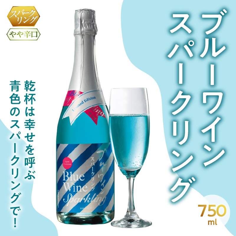 ブルーワイン スパークリング 750ml（MTS）B-635