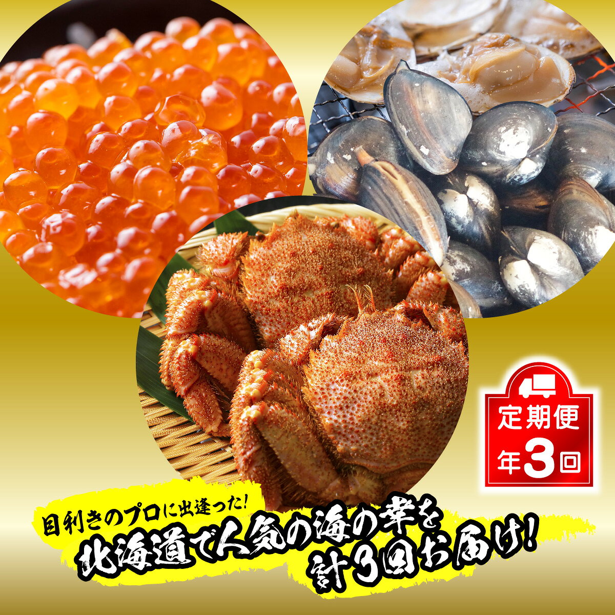 【ふるさと納税】 ＜ 定期便 3回 ＞ 北海道産 海の幸 毛ガニ いくら ホッキ かに カニ 毛蟹 蟹 北寄 貝 イクラ 鮭卵 魚卵 旬 魚貝 魚介 海鮮 海産物 冷蔵 冷凍 北海道 新ひだか町 ＜ 予約受付 ＞