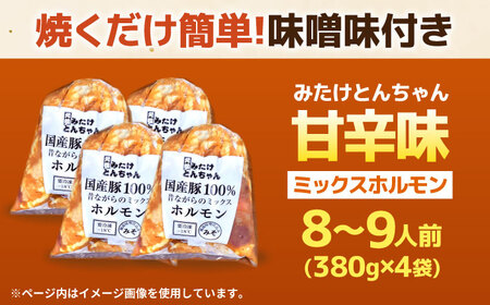 「元祖みたけとんちゃん」 昔ながらのミックスホルモン 4袋 / モツ もつ レバー ホルモン / 御嵩町 / 藤よし[AVAA049]
