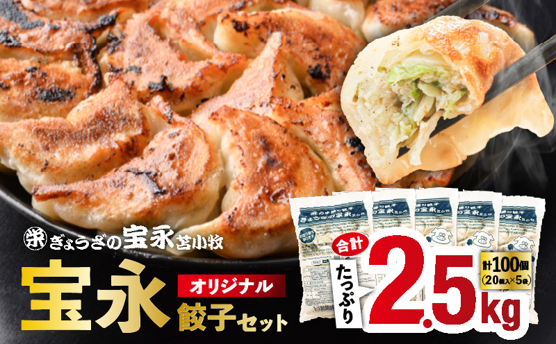 【ぎょうざの宝永】宝永餃子375g入（15個入）×4袋 合計1.5kg　T004-001