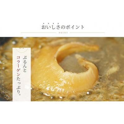 ふるさと納税 気仙沼市 【TVで紹介】ふかひれ姿煮 タレ込み3箱セット [石渡商店 宮城県 気仙沼市 20564167] |  | 01