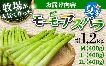 モーモーアスパラ 夏芽 M / L / 2L セット 1.2kg（6月上旬から順次発送) 日田市 アスパラガス[ARAI038]