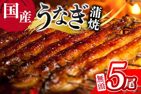＜2025年10月お届け＞うなぎ 鰻楽 国産 蒲焼 ご家庭用 5尾 計650g以上（130g×5尾）おすすめ 冷凍 簡単調理 個包装 鰻 魚介【D144-2510】