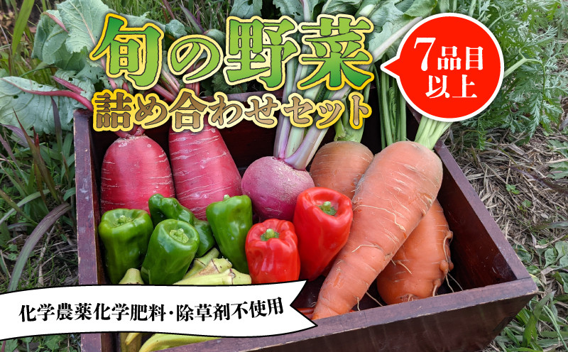 
                  旬のお野菜セット 詰め合わせ （7～10品目） 7月以降 発送 旬 野菜 国産 こだわり 京都府産 京丹波町産 季節 セット 有機肥料 化学農薬不使用 化学肥料不使用 除草剤不使用 おいしい おすすめ 一人暮らし 
                