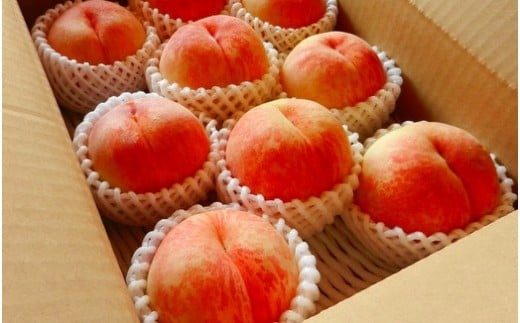 08-02-009　もも(8月旬の白桃)3kg